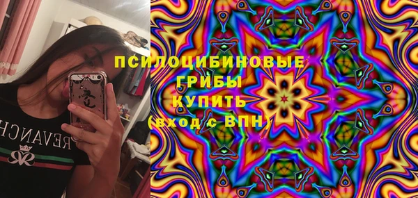 прущий лед Алексин