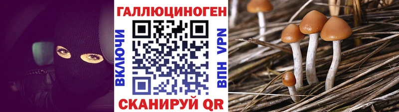 где купить наркоту  Лесосибирск  Псилоцибиновые грибы MAGIC MUSHROOMS 